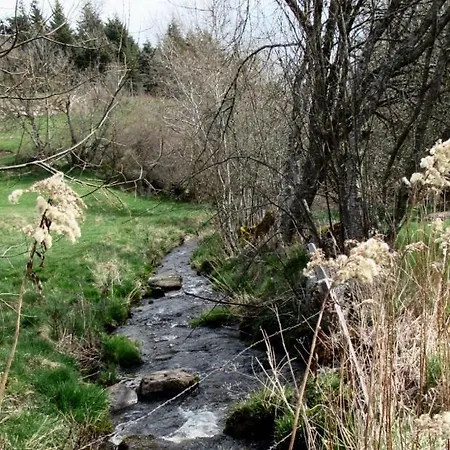 فندق Des Deux Rieu